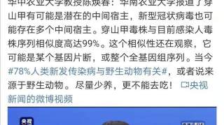 穿山甲疑似新冠状病毒中间宿主，为了自己家人的健康，请勿碰野味