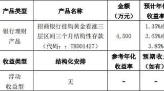 云南博闻科技2020首笔委托理财资金投放，涉资4500万元