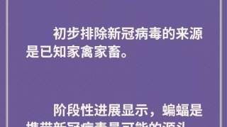 鸡鸭会传播新冠病毒吗？血浆治疗是否有效？抗疫最新消息来了