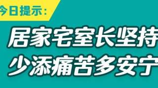 疫期违法曝光⑯|赌博、冲卡、持假证开车上路、与守卡人员拉扯，涉事7人均被拘5日！