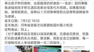 王珞丹同事的鸭子被偷了，这可不是一般鸭！宠物市场新奇多