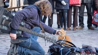 流浪猫鲍勃去世去年年底才开拍续集流浪猫鲍勃怎么红的