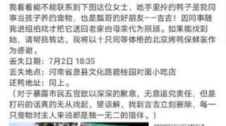 王珞丹同事的宠物鸭确认被“吃”了，发文呼吁不食用别人的宠物