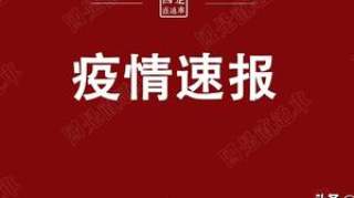 93090！全球首例狗感染确诊，美疾控中心停止公布确诊数，中国境外输入达20例