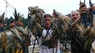 暴雨过后，杭州河道出现越南泛滥物种，当地人：太好了