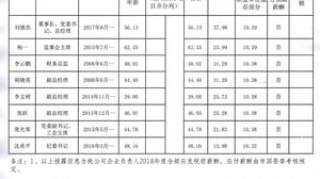 重庆市能源投资集团负责人（领导班子成员）年度薪酬情况