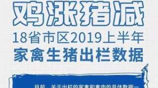 18省上半年家禽生猪出栏数据出炉！多省家禽增长10%、生猪全线下滑