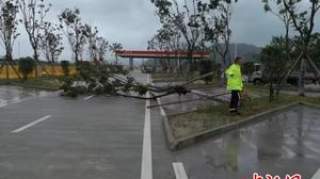 浙江台州启动Ⅰ级台风应急响应 台风利奇马什么时候登陆在哪里登陆