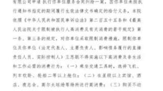 王思聪再收到3条限制消费令 王思聪资产被封是怎么回事背后真实原因曝光