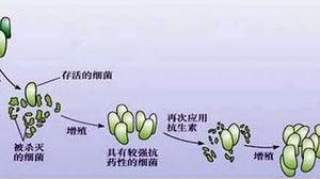 细菌对大蒜为什么没有抗药性？