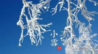 今日小雪：天地初寒，愿岁月安暖！