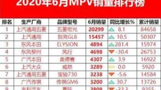 6月MPV销量完整版公布，仅有2款车型销量破万，威然卖出3289台