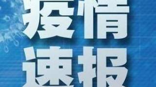 美国确诊病例超24万，纽约州最严重9万余例，州长称买呼吸机困难　印度最大贫民窟现首例确诊者