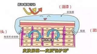  皮肤屏障损伤怎么修复