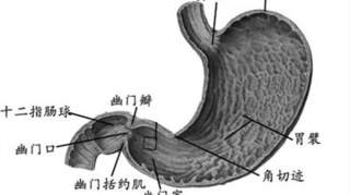 胃病应该注意什么 胃病患者日常饮食宜忌