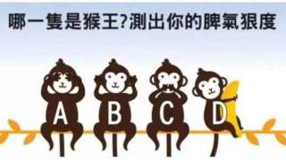 性格测试题大全 选一只猴子看出你发起脾气有多狠