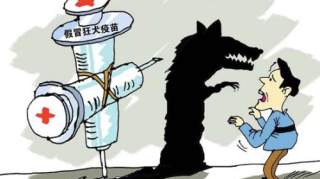 狂犬疫苗什么时候打？打狂犬疫苗要注意哪些问题