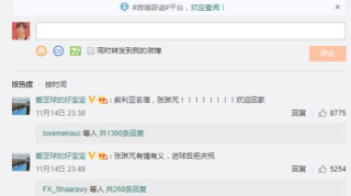 张琳芃微博被围攻，原因是没有对乌龙球做出解释