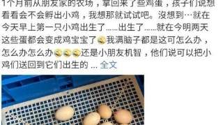 邓超孙俪家添新丁，二人成为养父母