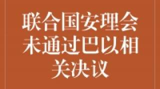 团结与合作是解决巴以冲突的关键