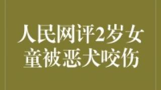 2岁女童被恶犬咬伤，我们需要共同守护孩子的安全