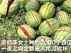 西安2000个西瓜被砍烂，是矛盾吗？人要积极