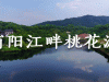 市委常委、区委书记佟桂莉赴浦阳镇灵山村专题调研美丽乡村建设工作