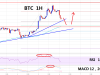 以太坊价格（ETH）修正收益：逢低收于224美元附近