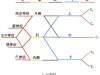 桡神经卡压的解剖学分析与查体及治疗定点