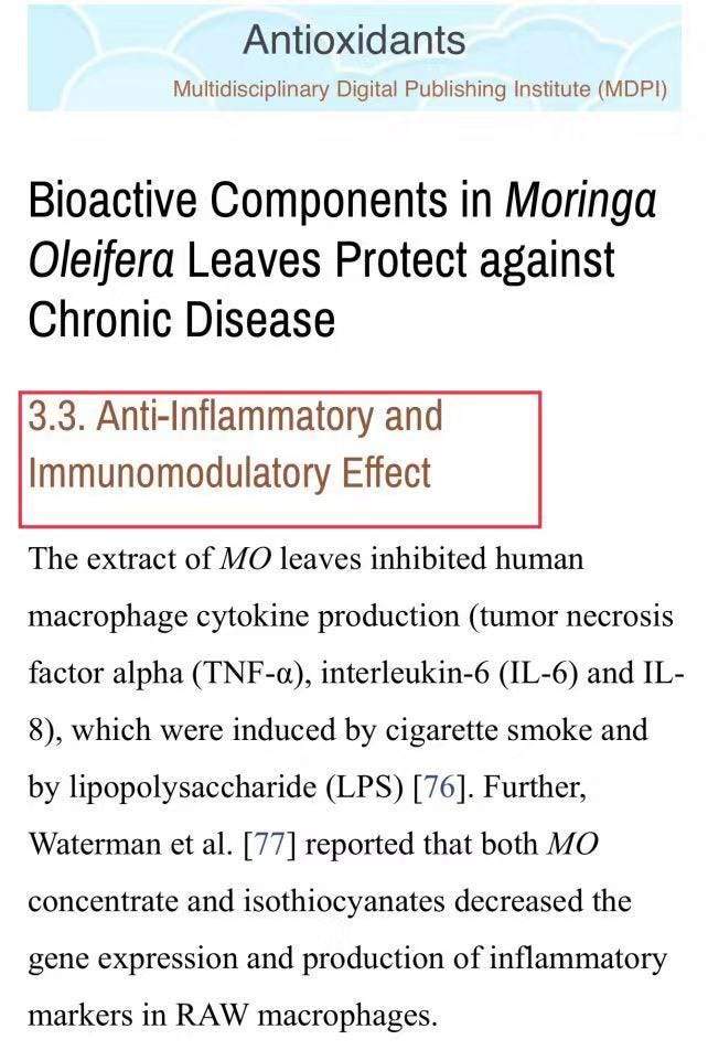 辣目洋子“瘦了”！难道靠的是它？