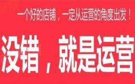 2019年淘宝新开店铺如何生存？如何做好运营月入过万。