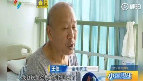 老人阻止男子打金毛，男子：“那我就打死你”