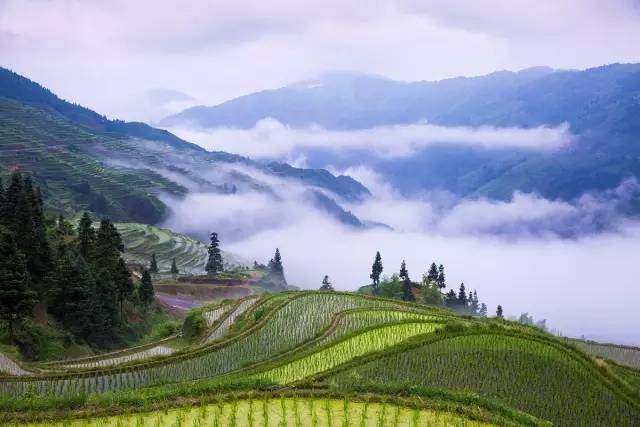 祖辈把大山挖成田，机智的村民，把游客带回家看田