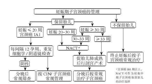 身患癌症，为什么还要“拼死生子”？