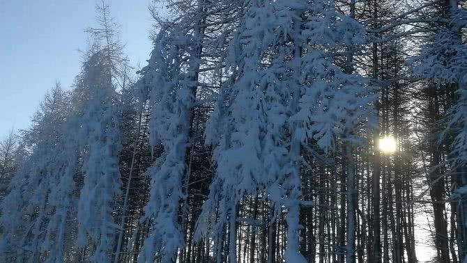 大奔开放啦——万龙雪场实时雪况分享