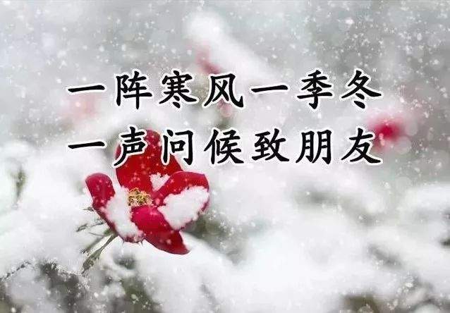 大雪节气最暖心的问候祝福语短信，大雪最美的祝福文字图片