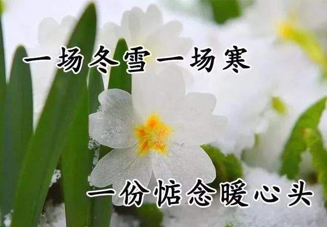 大雪节气最暖心的问候祝福语短信，大雪最美的祝福文字图片