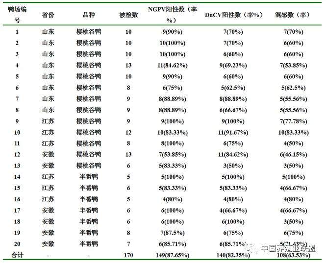 姜世金：鸭的几种病毒性疫病的流行现状及防控