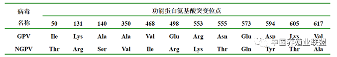 姜世金：鸭的几种病毒性疫病的流行现状及防控