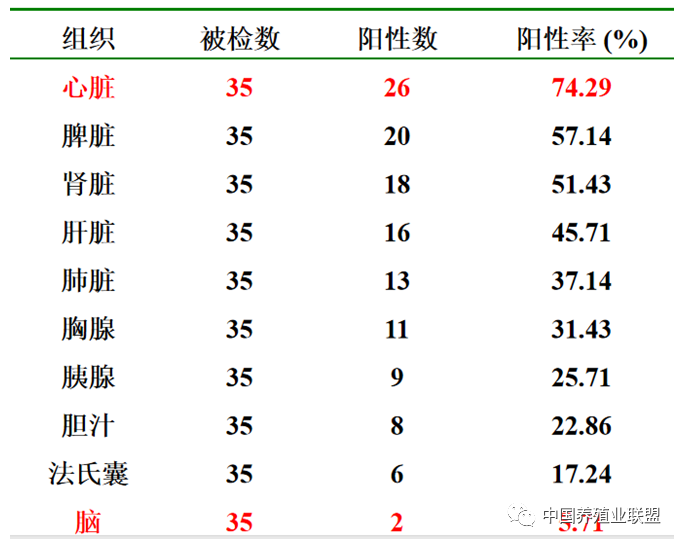 姜世金：鸭的几种病毒性疫病的流行现状及防控