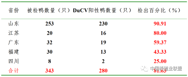 姜世金：鸭的几种病毒性疫病的流行现状及防控