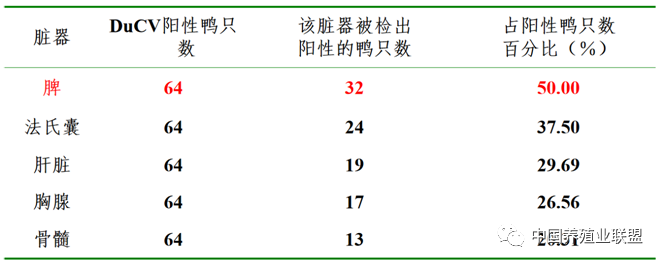 姜世金：鸭的几种病毒性疫病的流行现状及防控