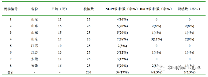 姜世金：鸭的几种病毒性疫病的流行现状及防控