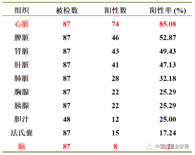 姜世金：鸭的几种病毒性疫病的流行现状及防控