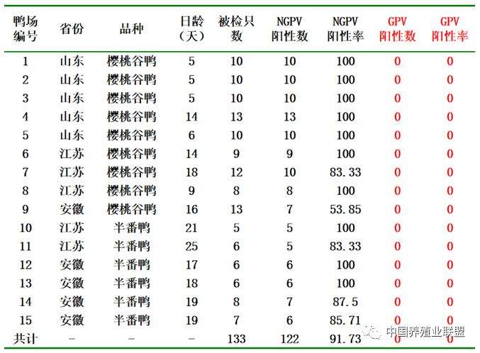 姜世金：鸭的几种病毒性疫病的流行现状及防控