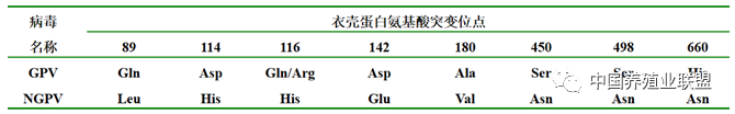 姜世金：鸭的几种病毒性疫病的流行现状及防控