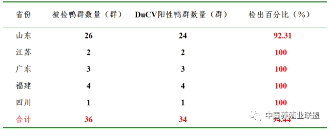 姜世金：鸭的几种病毒性疫病的流行现状及防控