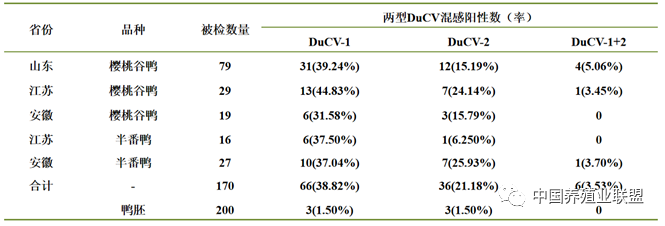 姜世金：鸭的几种病毒性疫病的流行现状及防控