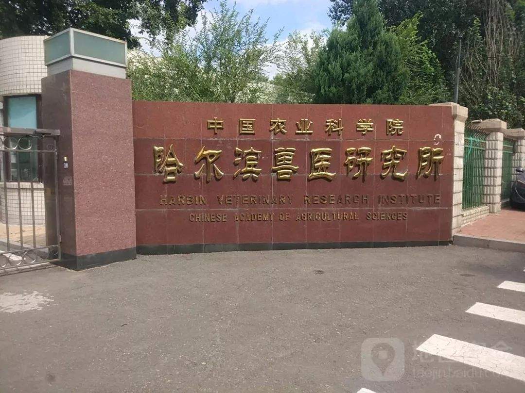 拾事|河南温县高三学生在寝室吃泡面拟被开除，引发社会严重争议