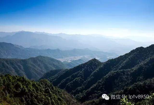 连平县启动全国暨广东省保护野生动物宣传月活动